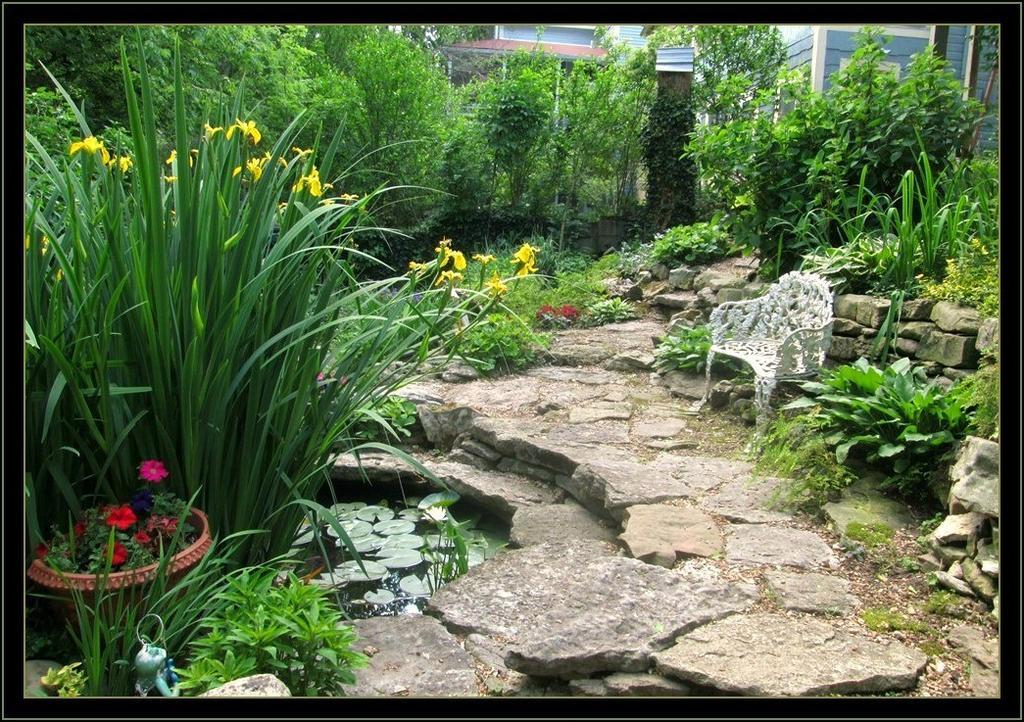 11 Singleton House B&B 尤里卡斯普林斯 外观 照片
